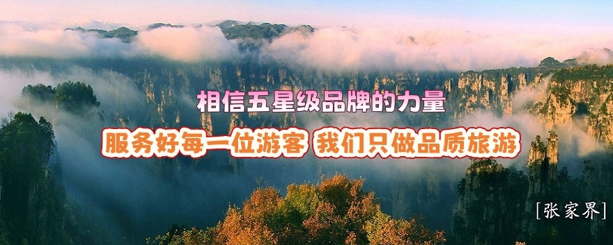 張家界中國(guó)旅行社辦公場(chǎng)景圖